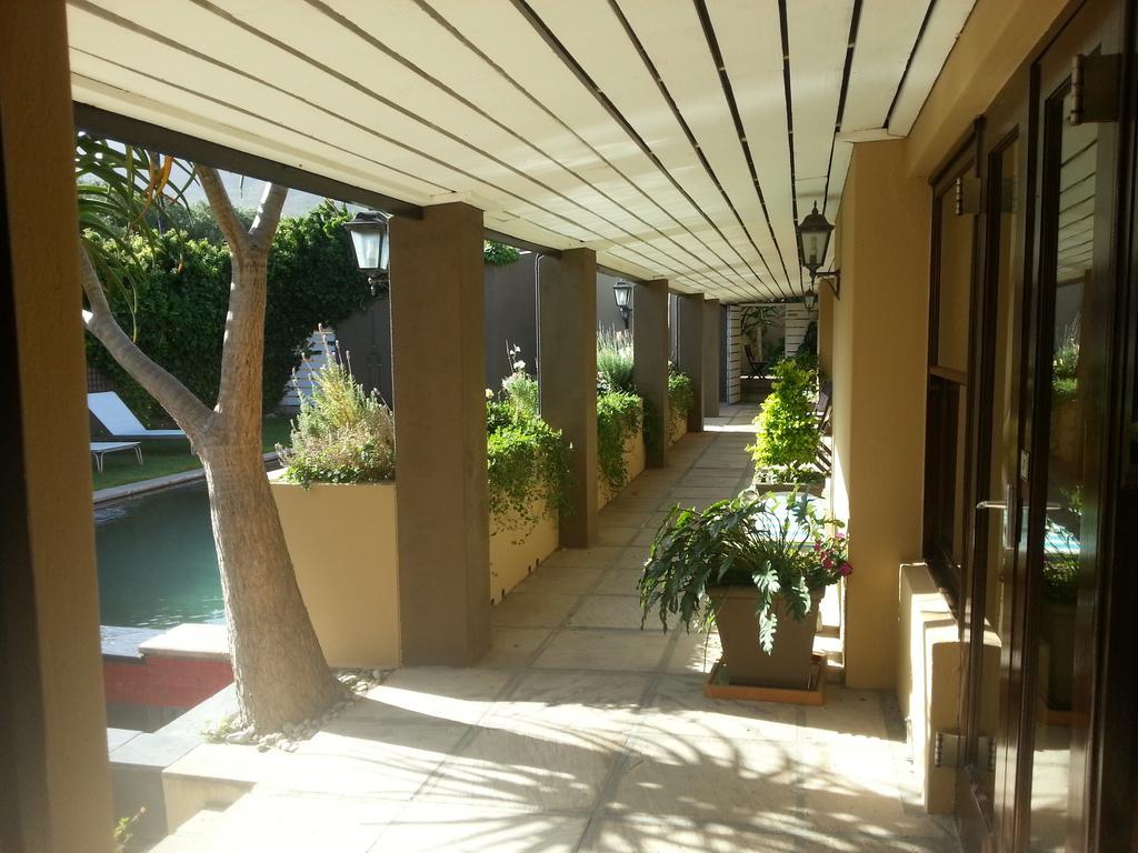 Aloe Guest House Hermanus Exteriér fotografie