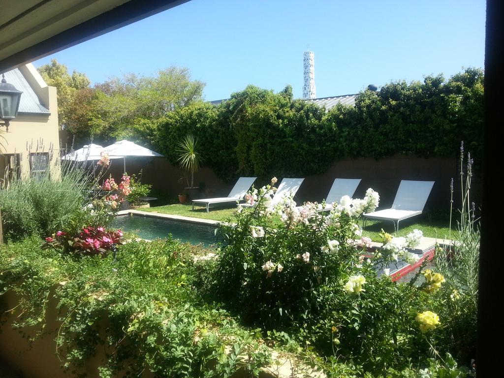 Aloe Guest House Hermanus Exteriér fotografie